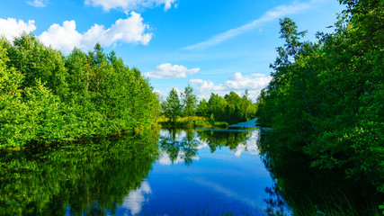 Picturesque reclamation in the swamp Yelnya. Nature reserve. Eciligical problem. Protection of nature.