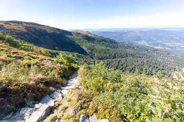 Fototapeta na wymiar Hiking trail in Beskid Mountains in Poland on sunny day in summer