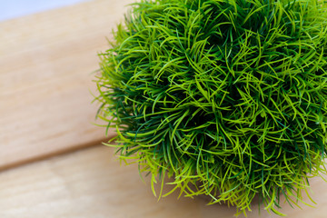 bunch of fresh dill on wooden board