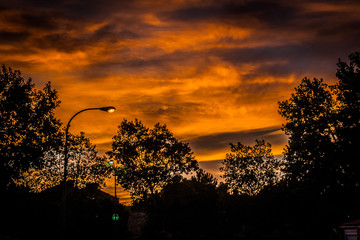 Mi Calle