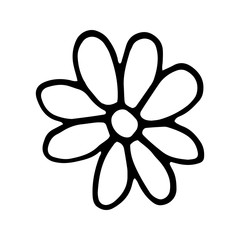 Single hand drawn flower for chamomile for summer design. Doodle vector illustration. Isolated on white background