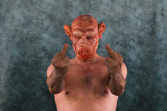 portrait of a bully man in a pig mask