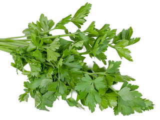 Bunch of parsley isolated on white, top view