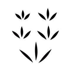 Vector illustration of tree and leaf