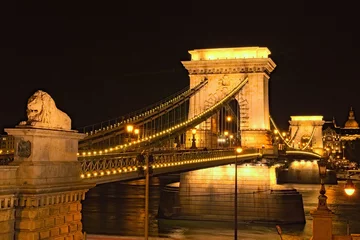 Wide angle night landscape view of illuminated Chain Bridge. Beautiful sculpture of Lion and ancient lantern. Romantic and peaceful scene. Budapest, Hungary