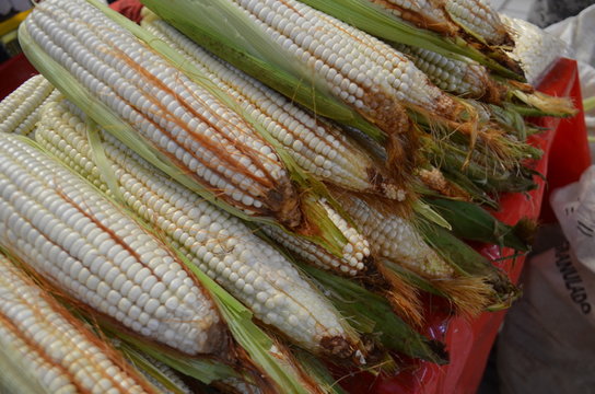 Piezas de ma&iacute;z blaco