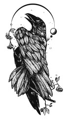 Hand drawn illustration with a Raven or Crow. Tattoo stencil style. Gothic drawing with a bird and dry branch of berries. - 311932422
