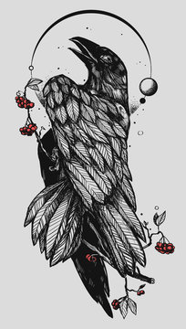 big-black-ink-crow-sketch-tattoo - Tattoo Designs for Women