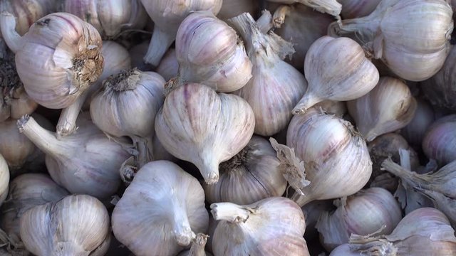 garlic on the market