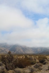 Fototapeta premium Rare Southern Mojave Desert fog shrouds mountainous figures near Indian Cove of Joshua Tree National Park.