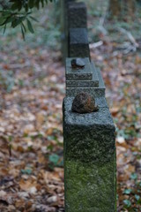 Steine auf jüdischen Grabsteinen (Berlin-Weißensee)