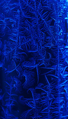 Blue textured natural background with frost pattern.  Color of the year concept. Color of 2020 year - classic blue. Organic texture close up. Magic artistic image.