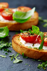 Crostini withe cream cheese, cherry tomatoes and fresh basil. Dark stone background. Close up.