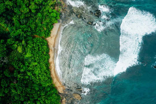 Aerial Drone View of a tropical island with lush jungle in Costa Rica, Isla del Ca&ntilde;o