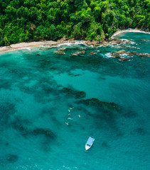 Aerial Drone View of a tropical island with lush jungle in Costa Rica, Isla del Caño
