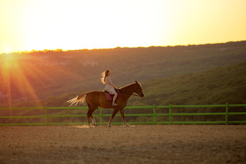 Girl in a dress riding a horse in the sun.