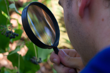 Young biologist studying a plant in a forest, with a magnifying glass