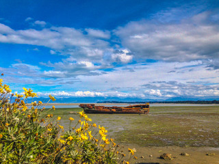 Janie Seddon Shipwreck in Motueka, South Island, New Zealand
