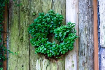 natural green wreath on a door wooden background closeup