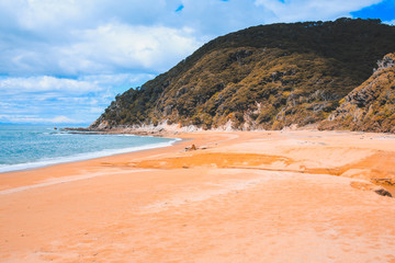 Anapai Beach at Abel Tasman National Park, South Island, New Zealand