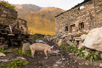 Georgian village © Roxana Romańska