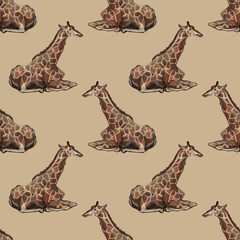 Clipboard set of watercolor hand drawn group of wild animal cliparts in the zoo - birds, giraffe, donkey, cormorant