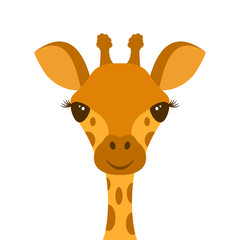 Cute Giraffe Head