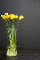 Glass vase with yellow daffodils on a dark wooden table, greeting background or concept