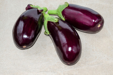 Tree Raw Organic Eggplant On Sackcloth