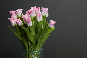 Glass vase with pink tulips on a dark wooden table, greeting background or concept