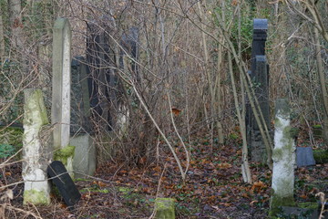 Grabsteine auf dem Jüdischen Friedhof Berlin-Weißensee