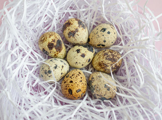 Easter flat lay with quail eggs in nest of paper strips on pink background. Top view.