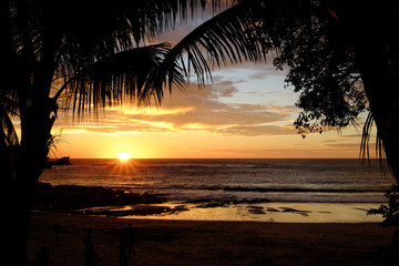 Jungle sunset at Playa Pelada, Guanacaste Costa Rica