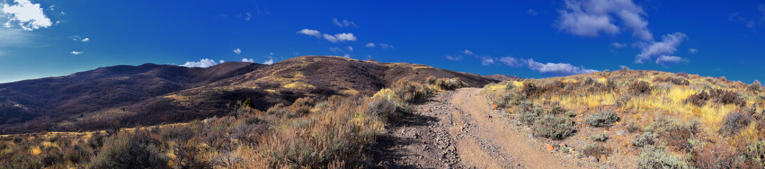 Hiking Trails in Oquirrh, Wasatch, Rocky Mountains in Utah Late Fall with leaves. Backpacking, biking, horseback through trees in the Yellow Fork and Rose Canyon by Salt Lake City. United States of Am