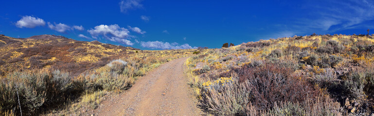 Hiking Trails in Oquirrh, Wasatch, Rocky Mountains in Utah Late Fall with leaves. Backpacking, biking, horseback through trees in the Yellow Fork and Rose Canyon by Salt Lake City. United States of Am