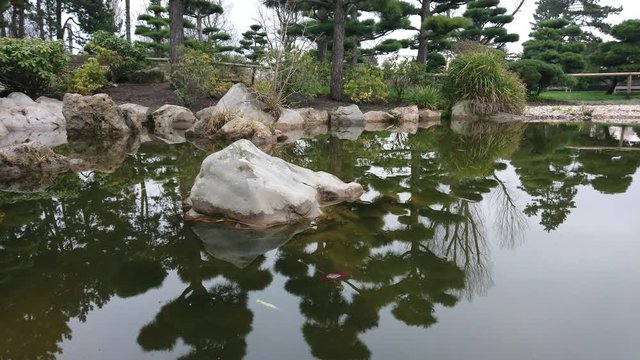 Quartzite rocks in japanese style water garden with trees in the background