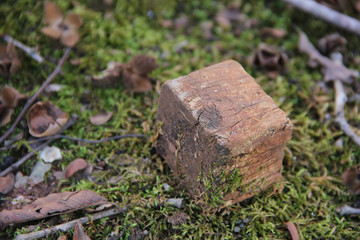broken brick on grass