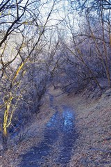 Hiking Trails in Oquirrh, Wasatch, Rocky Mountains in Utah Late Fall with leaves. Backpacking, biking, horseback through trees in the Yellow Fork and Rose Canyon by Salt Lake City. United States of Am