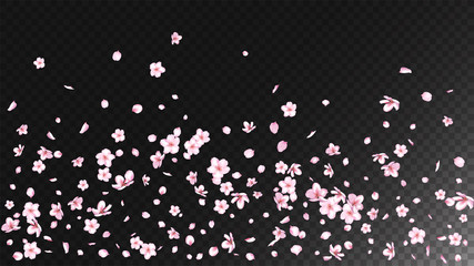 Nice Sakura Blossom Isolated Vector. Watercolor Blowing 3d Petals Wedding Texture. Japanese Funky Flowers Wallpaper. Valentine, Mother's Day Summer Nice Sakura Blossom Isolated on Black