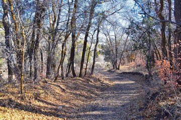 Hiking Trails in Oquirrh, Wasatch, Rocky Mountains in Utah Late Fall with leaves. Backpacking, biking, horseback through trees in the Yellow Fork and Rose Canyon by Salt Lake City. United States of Am