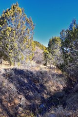 Hiking Trails in Oquirrh, Wasatch, Rocky Mountains in Utah Late Fall with leaves. Backpacking, biking, horseback through trees in the Yellow Fork and Rose Canyon by Salt Lake City. United States of Am