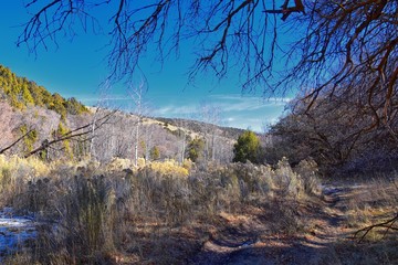 Hiking Trails in Oquirrh, Wasatch, Rocky Mountains in Utah Late Fall with leaves. Backpacking, biking, horseback through trees in the Yellow Fork and Rose Canyon by Salt Lake City. United States of Am