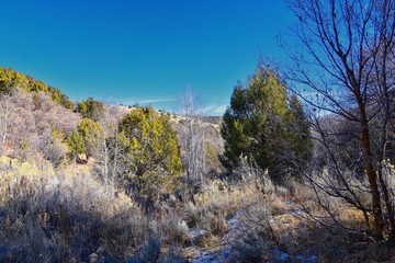Hiking Trails in Oquirrh, Wasatch, Rocky Mountains in Utah Late Fall with leaves. Backpacking, biking, horseback through trees in the Yellow Fork and Rose Canyon by Salt Lake City. United States of Am