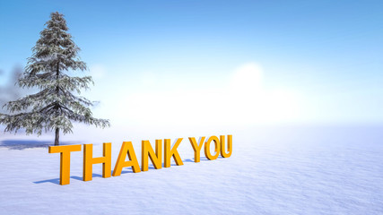 Thank You Text in Snow, Winter Concept, 3D Rendering