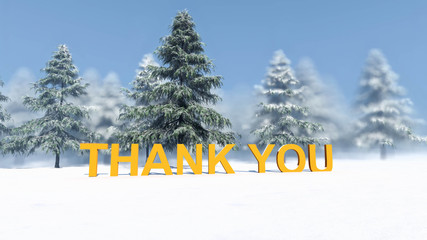 Thank You Text in Snow, Winter Concept, 3D Rendering