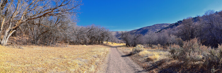 Hiking Trails in Oquirrh, Wasatch, Rocky Mountains in Utah Late Fall with leaves. Backpacking, biking, horseback through trees in the Yellow Fork and Rose Canyon by Salt Lake City. United States of Am