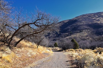 Hiking Trails in Oquirrh, Wasatch, Rocky Mountains in Utah Late Fall with leaves. Backpacking, biking, horseback through trees in the Yellow Fork and Rose Canyon by Salt Lake City. United States of Am