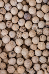 white peppercorns seed on white acrylic background