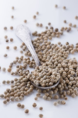white peppercorns in spoon on white background