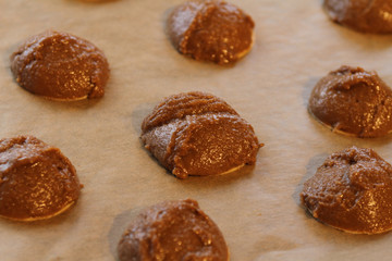 Lebkuchen backen